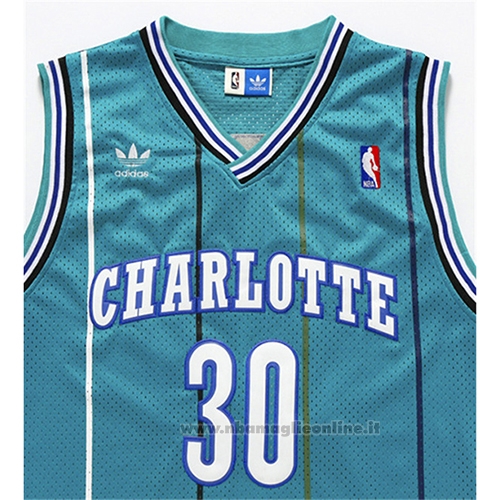 Maglia Charlotte Hornets Dell Curry NO 30 Throwback Verde